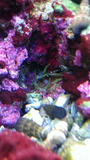 IMAG0339.jpg