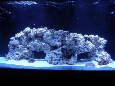 Full Tank.jpg