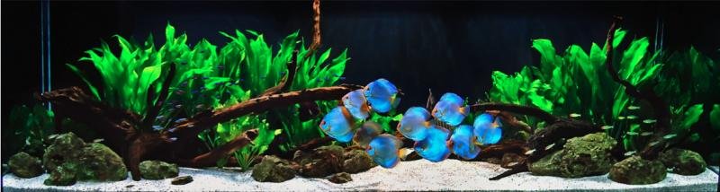 Screen Shot 2012-12-27 at 7.53.05 PM.jpg