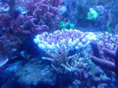 20121218_185240.jpg