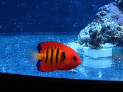 IMG_6277_small.jpg