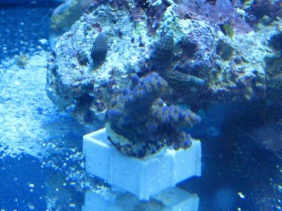 IMG_6278_small.jpg