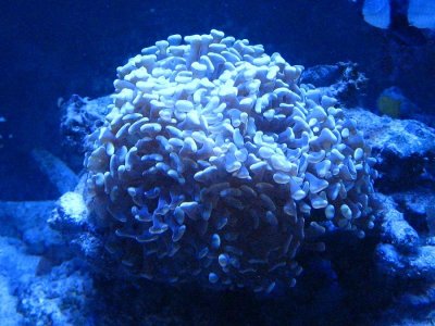 IMG_6276_small.jpg