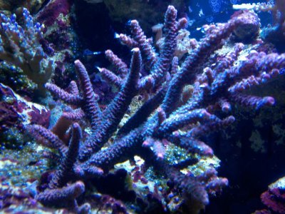 2012-12-17_15-58-49_488.jpg