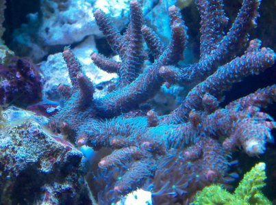 2012-12-20_21-50-21_875.jpg