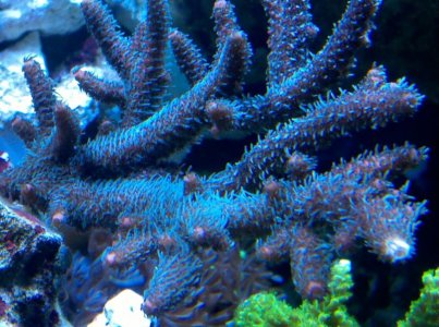 2012-12-20_21-50-36_395.jpg
