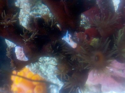 2012-12-28_01-06-41_673.jpg