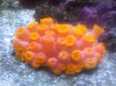 2012-12-28_01-06-56_915.jpg