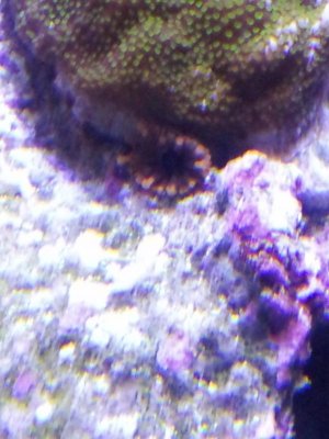 2012-12-27 22.32.52.jpg