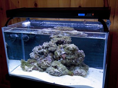 New-Aquarium.jpg
