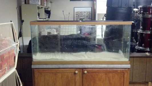2012-12-16_13-43-27_456.jpg