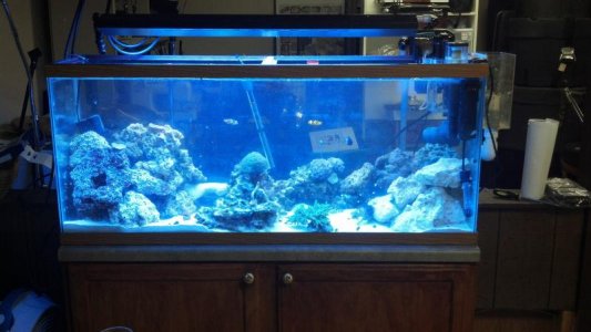 2012-12-27_20-48-39_629.jpg