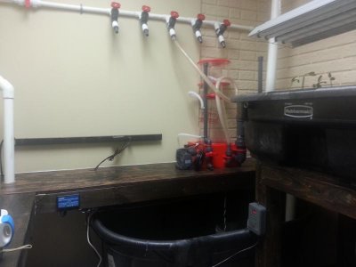 20130121_215734.jpg
