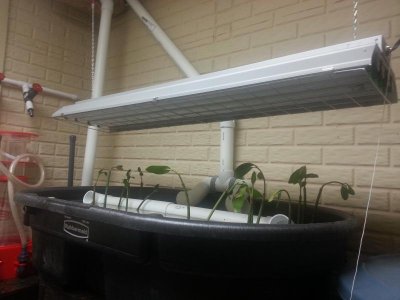 20130121_215724.jpg