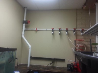 20130121_215848.jpg 20130121_215848.jpg
