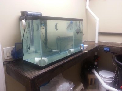 20130121_215838.jpg