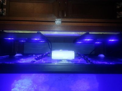 20130121_222038.jpg