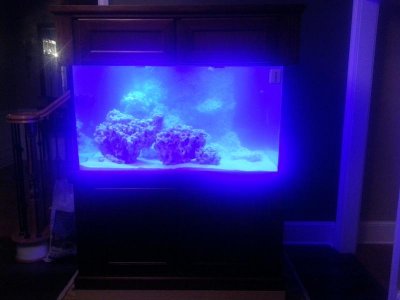 20130121_220517.jpg