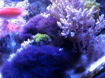 IMG_0576.jpg