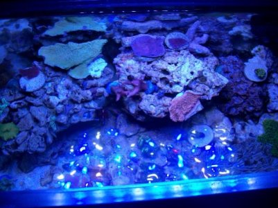 100_2712 (640x480).jpg