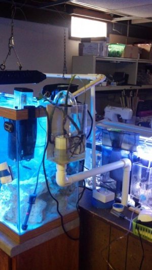 2012-12-30_11-36-11_537.jpg