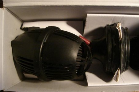 DSC04010 (Medium).JPG