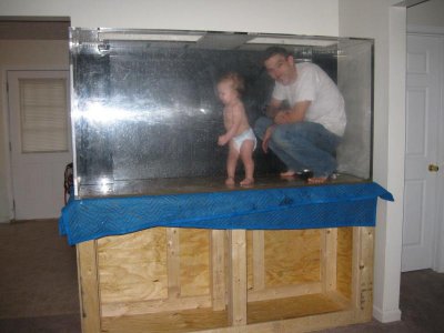 my new tank (dec 09) 010.jpg