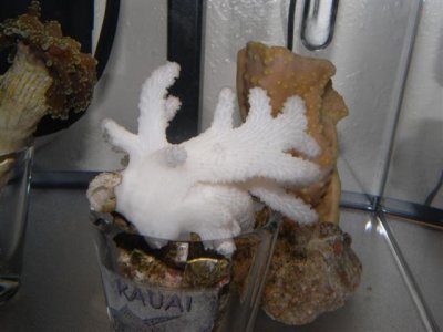 M0011244 (Small).JPG