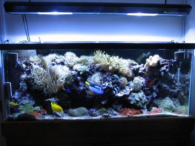 IMG_3842.jpg