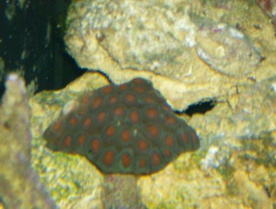 HPIM0342.jpg