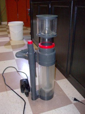 HPIM0936.jpg