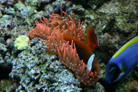 IMG_3761.jpg