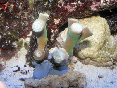 DSCF0068.jpg