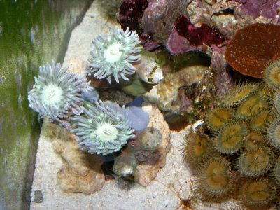 DSCF0085.jpg