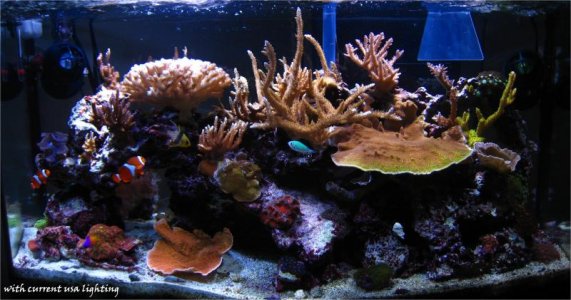 reef dec 29_09 fts.jpg