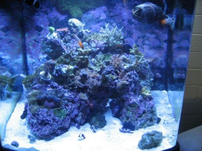 20091224 0021.jpg