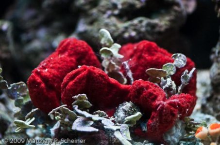 2010-01-10 Aquarium-1.jpg