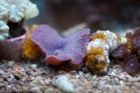 2010-01-10 Aquarium-6.jpg