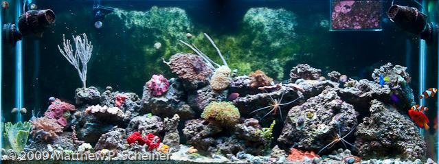 2010-01-10 Aquarium-19.jpg