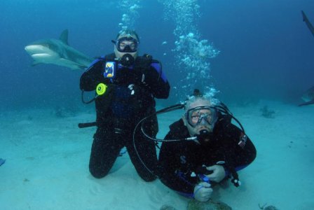 Shark dive 1.jpg