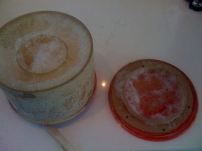IMG_0518.jpg