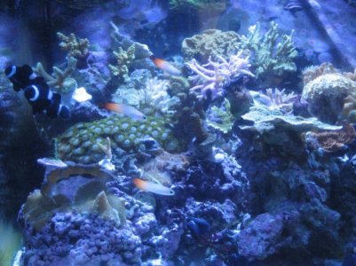 newbirdnest 0191.jpg