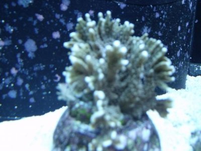 DSCF0100.jpg