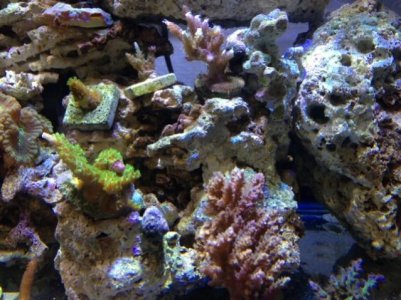 photo 3.jpg