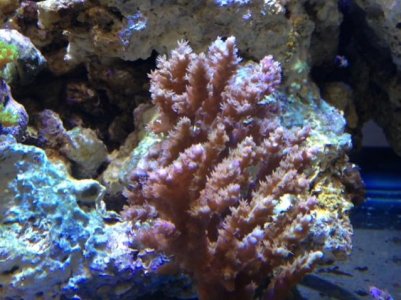 photo 2.jpg