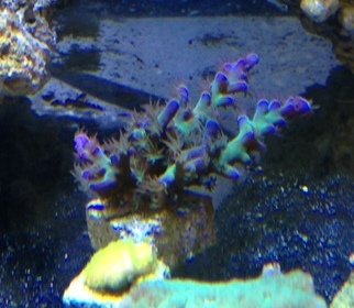 photo 5.JPG
