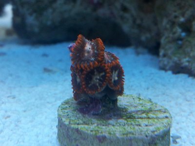 20130126_092354.jpg