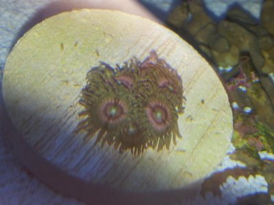 20130126_092049.jpg