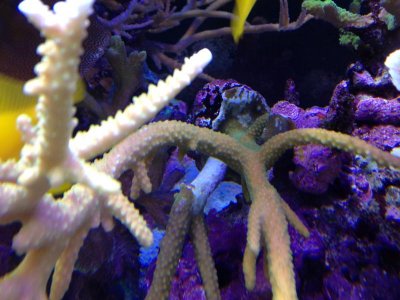 photo (1).jpg