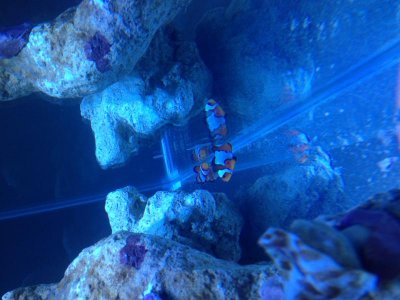 Photo Jan 26, 3 50 45 PM (HDR).jpg